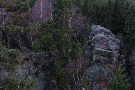 Blick vom Ottofelsen