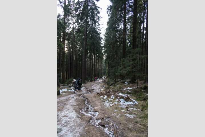 die Wege...