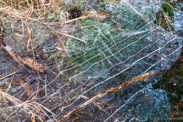Eisbilder