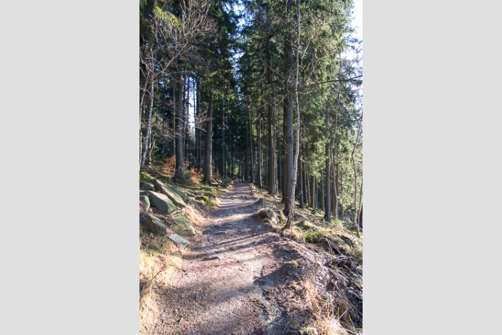 der Weg war das Ziel ...