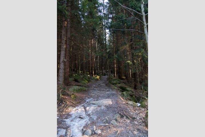 der Weg war das Ziel ...