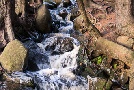 und noch ein Bach