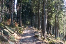 der Weg war das Ziel ...