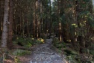 der Weg war das Ziel ...