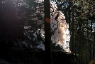 Brockenbahn, rappelvoll
