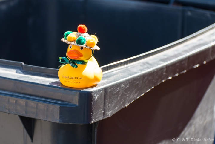 herausgeputztes Quietscheentchen...