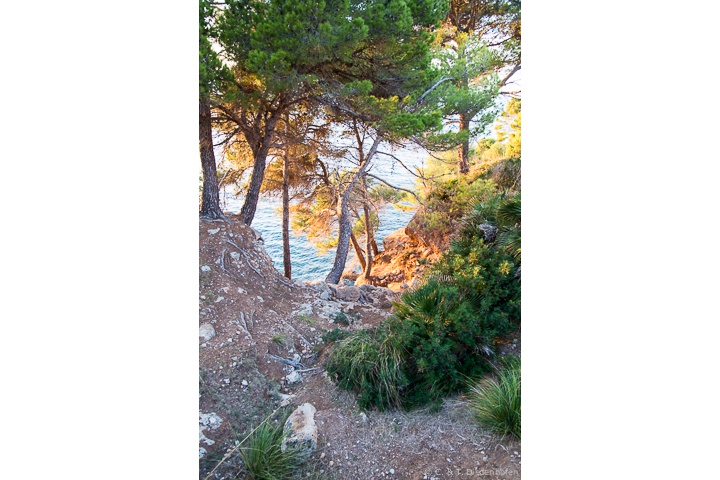 Steilküste