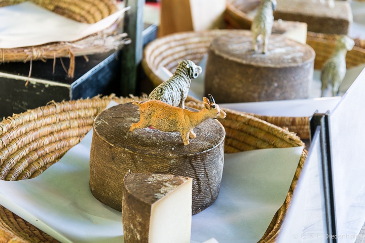 woher der Käse wohl stammt