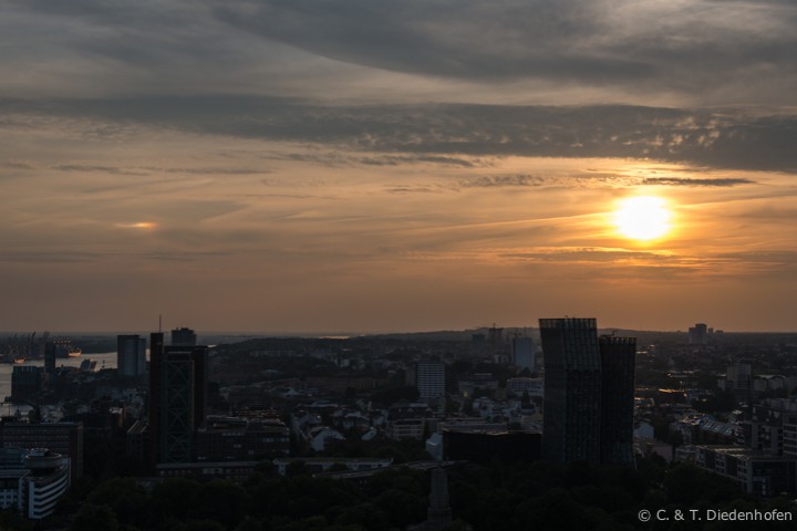 Nachtmichel im August