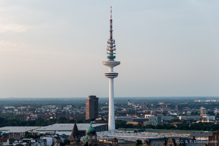 Nachtmichel im August