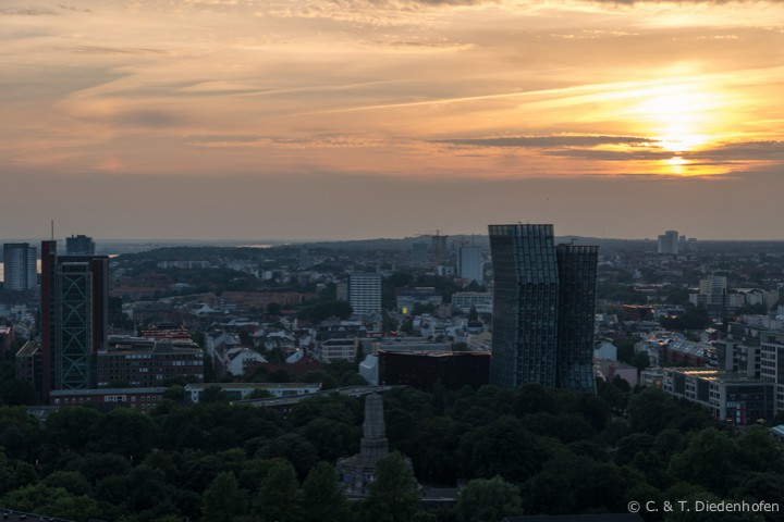 Nachtmichel im August
