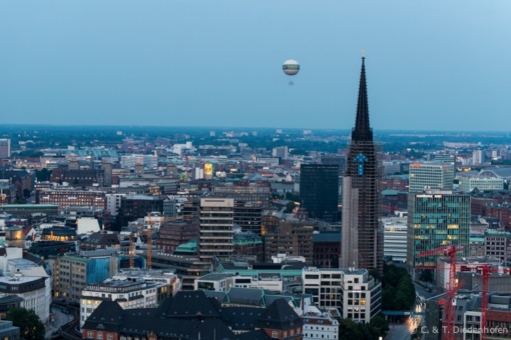 Nachtmichel im August