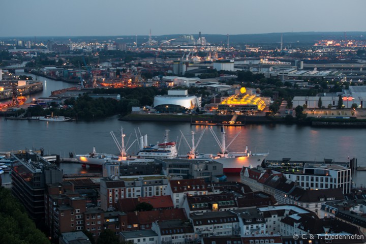 Nachtmichel im August
