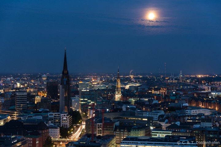 Nachtmichel im August