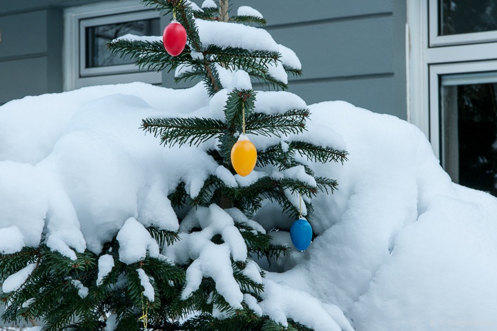 eigentlich für warmes Ostern geschmückt