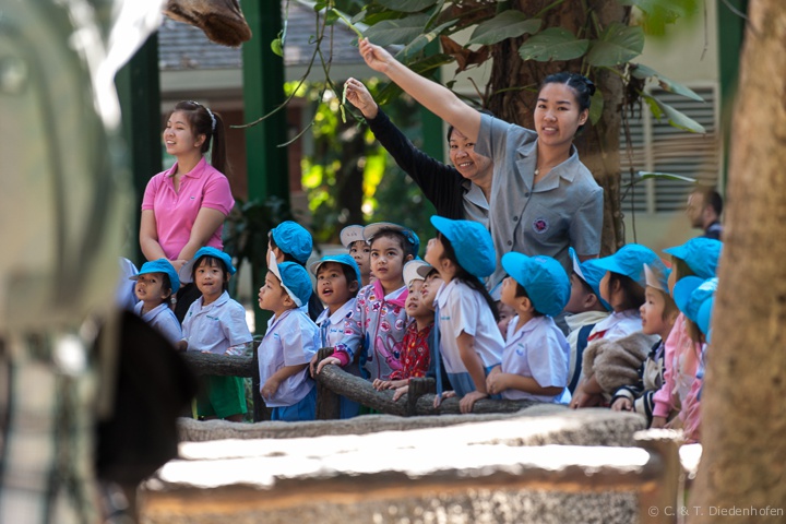 Kindergarten - Ausflug im Zoo