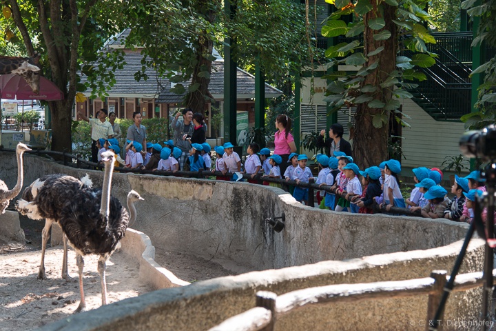 Kindergarten - Ausflug im Zoo
