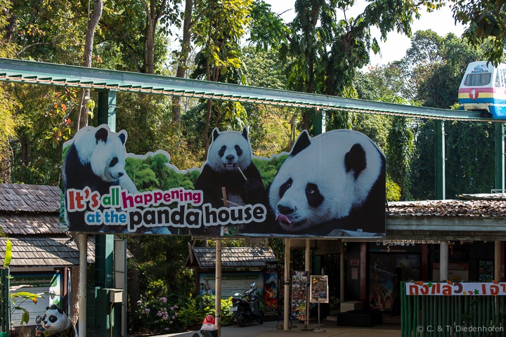 auf ins Panda - Haus