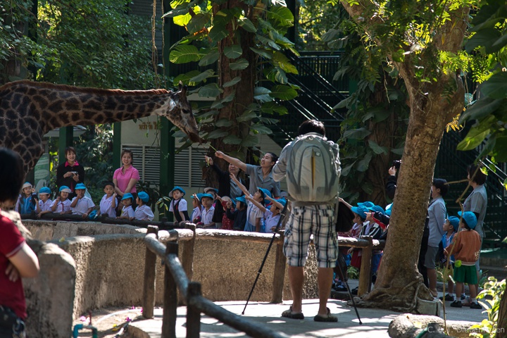 Kindergarten - Ausflug im Zoo