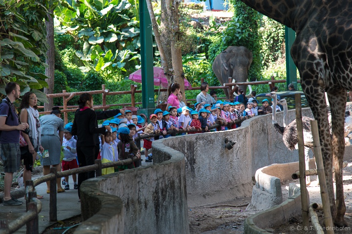 Kindergarten - Ausflug im Zoo