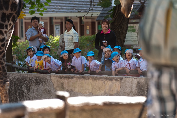 Kindergarten - Ausflug im Zoo