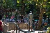 Kindergarten - Ausflug im Zoo
