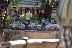 Kindergarten - Ausflug im Zoo
