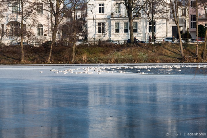 doch noch Winter