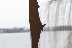 Kunst an der Aussenalster