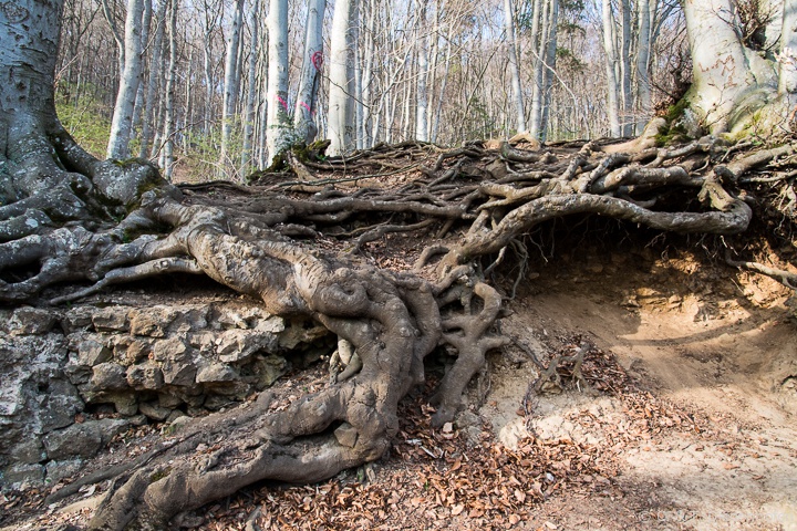 römische Wasserleitung