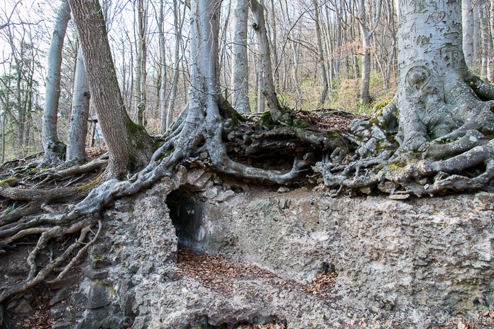 römische Wasserleitung
