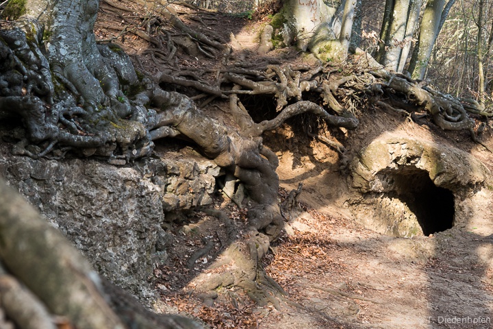 römische Wasserleitung