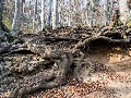 römische Wasserleitung