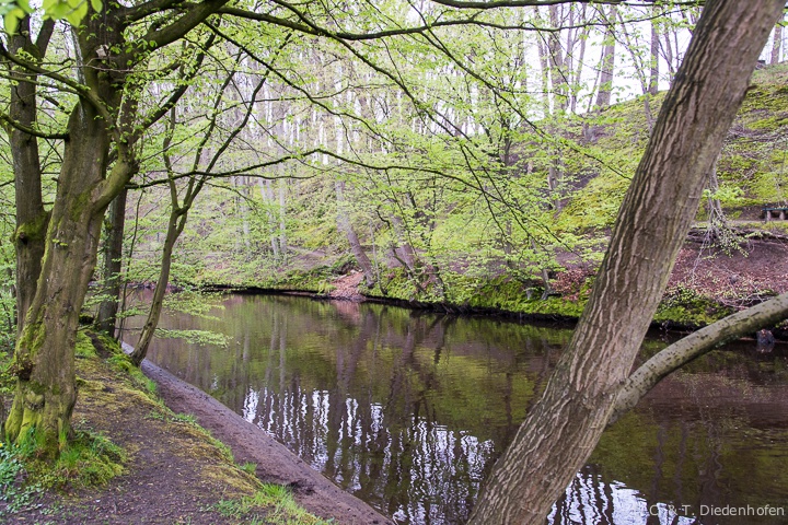 Alsterlauf