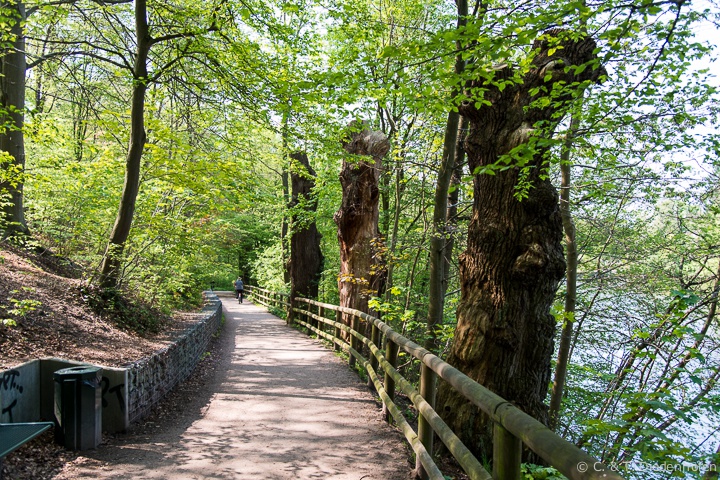 der Weg