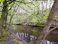 Alsterlauf