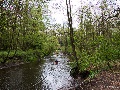 Alsterlauf