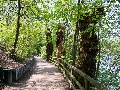 der Weg