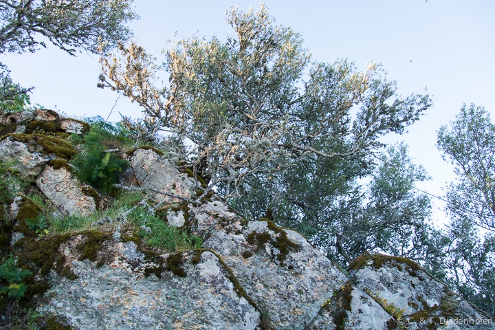 rund ums Castillo de Monfrague