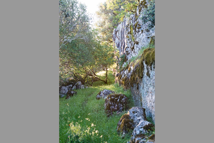 rund ums Castillo de Monfrague