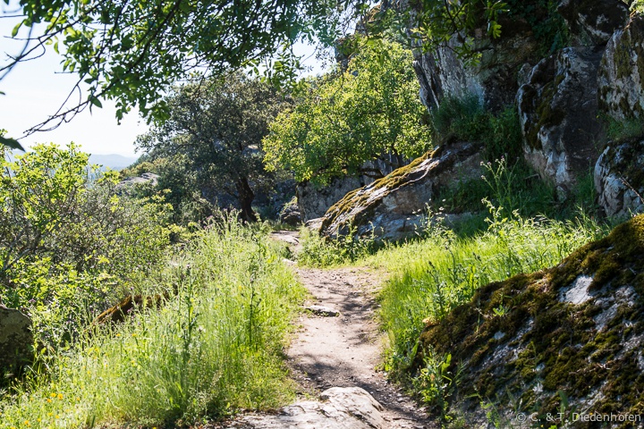 rund ums Castillo de Monfrague