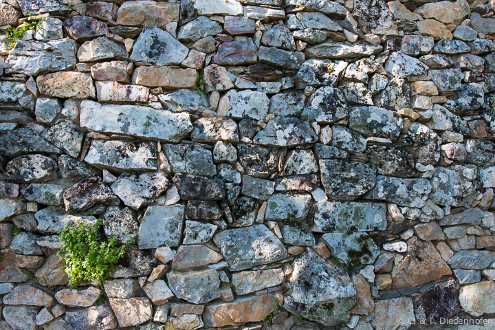 rund ums Castillo de Monfrague