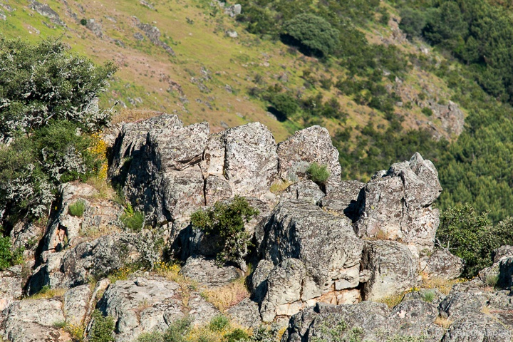 rund ums Castillo de Monfrague