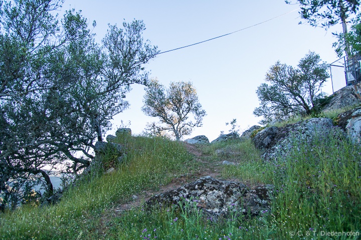 rund ums Castillo de Monfrague