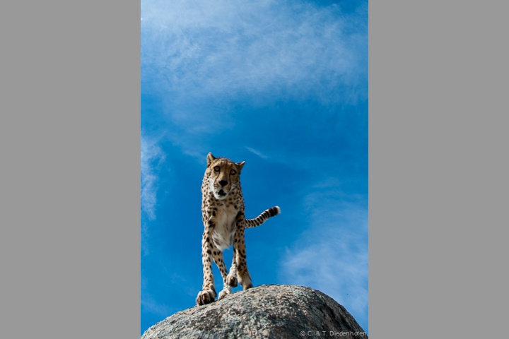 'Übersprung' - Anfangs etwas skeptisch