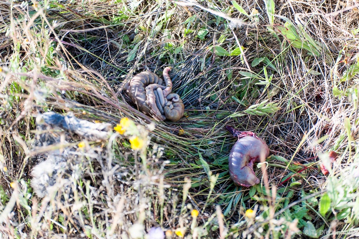 ... und nur dass bleibt übrig, fein säuberlich getrennt.