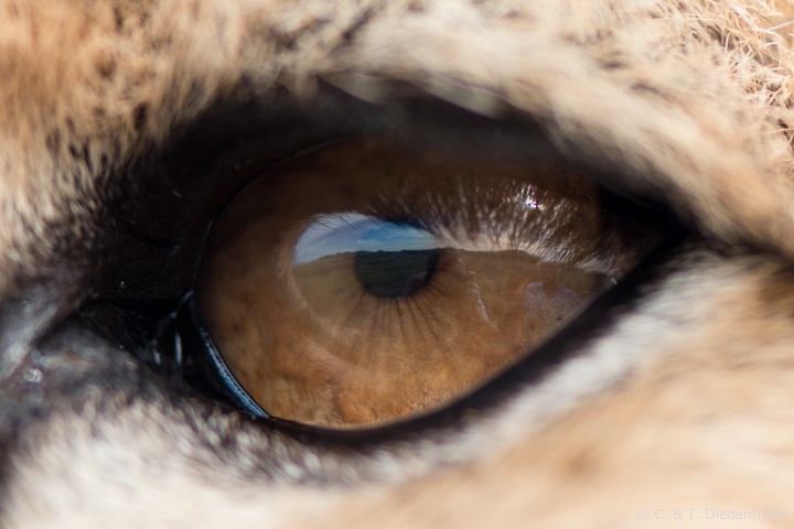 ... sondern auch schöne Spiegelung