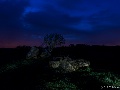 zur blauen Stunde