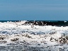 Möwen am Strand