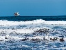 Möwen am Strand
